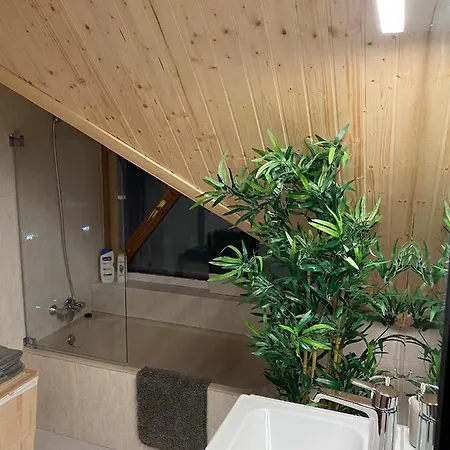 Atico Duplex Reformado Con Vistas A La Montana Apartment Canfranc Exterior photo