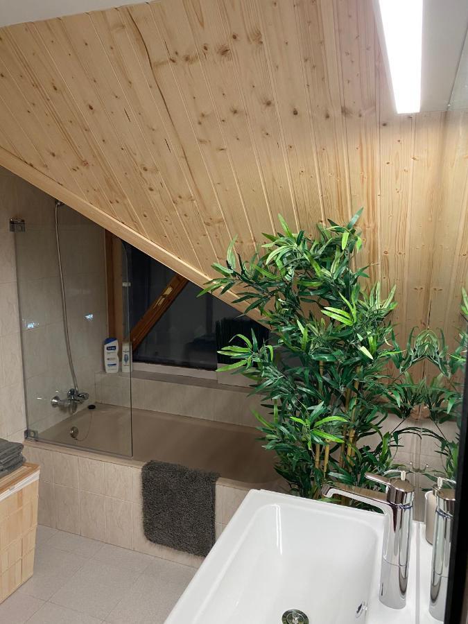 Apartament Atico Duplex Reformado Con Vistas A La Montana